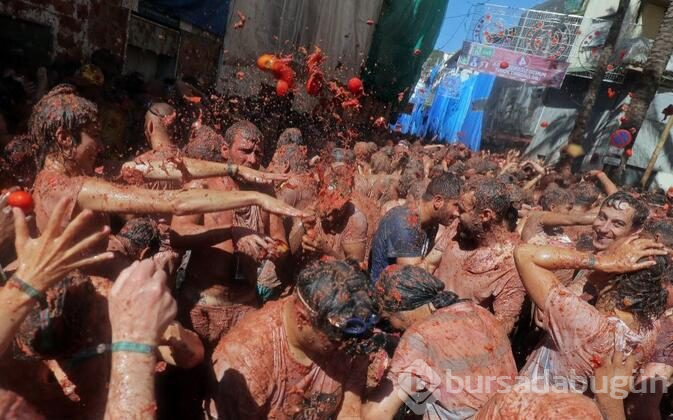 İspanya'da domates savaşı 'La Tomatina' başladı