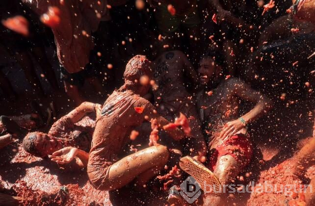 İspanya'da domates savaşı 'La Tomatina' başladı