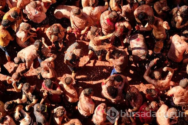 İspanya'da domates savaşı 'La Tomatina' başladı