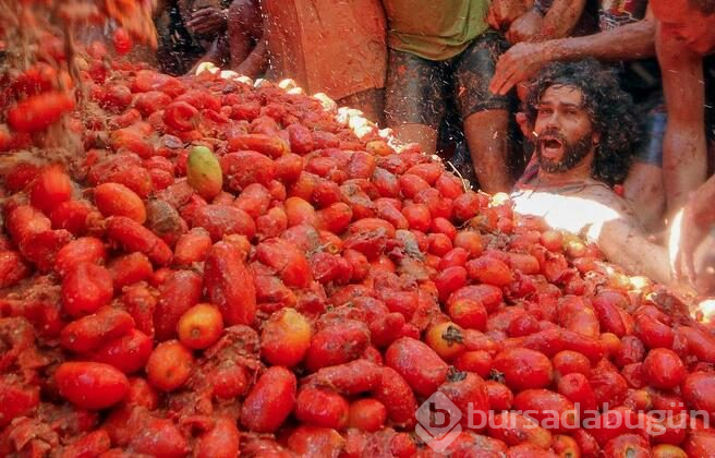 İspanya'da domates savaşı 'La Tomatina' başladı