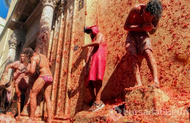 İspanya'da domates savaşı 'La Tomatina' başladı
