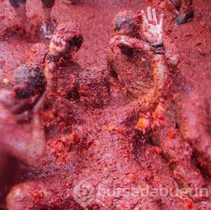 İspanya'da domates savaşı 'La Tomatina' başladı