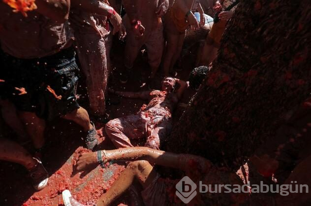 İspanya'da domates savaşı 'La Tomatina' başladı