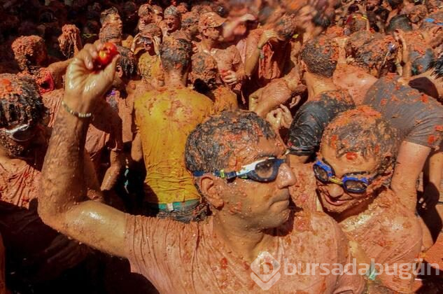 İspanya'da domates savaşı 'La Tomatina' başladı