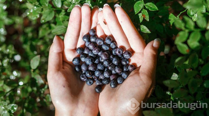 Sağlıklı yaşlanmanın sırrı bu besinlerde saklı
