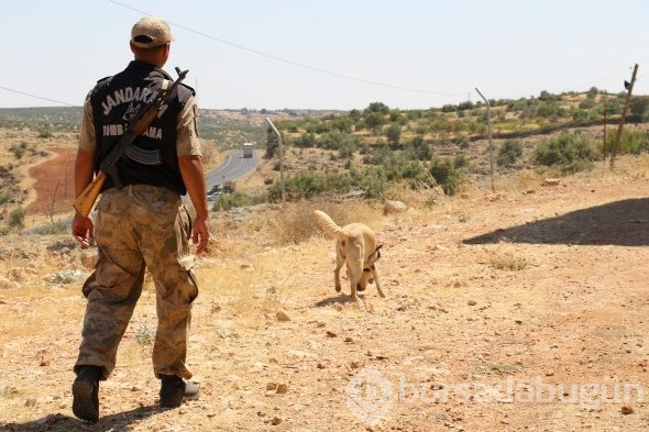 Onlar Kıran-2 operasyonunda teröristlerin korkulu rüyası
