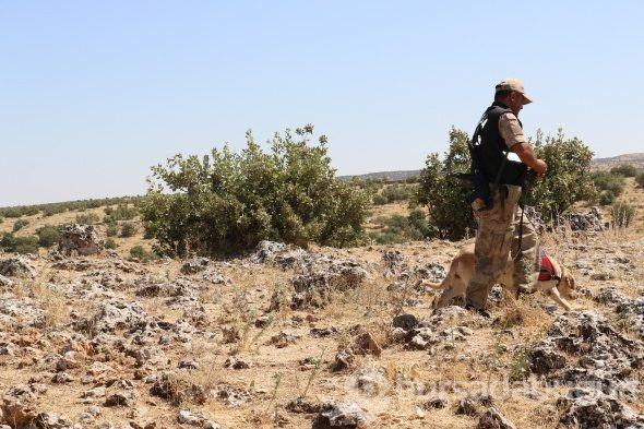 Onlar Kıran-2 operasyonunda teröristlerin korkulu rüyası
