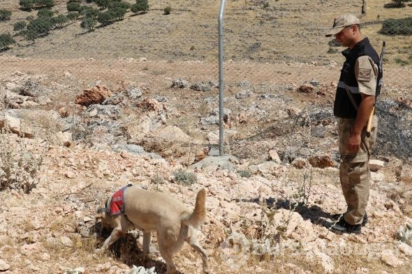 Onlar Kıran-2 operasyonunda teröristlerin korkulu rüyası
