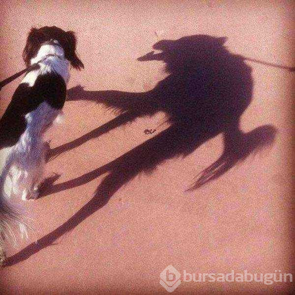 Günün en çok paylaşılan fotoğrafları (29.08.2019)