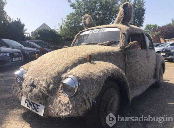 Günün en çok paylaşılan fotoğrafları (29.08.2019)