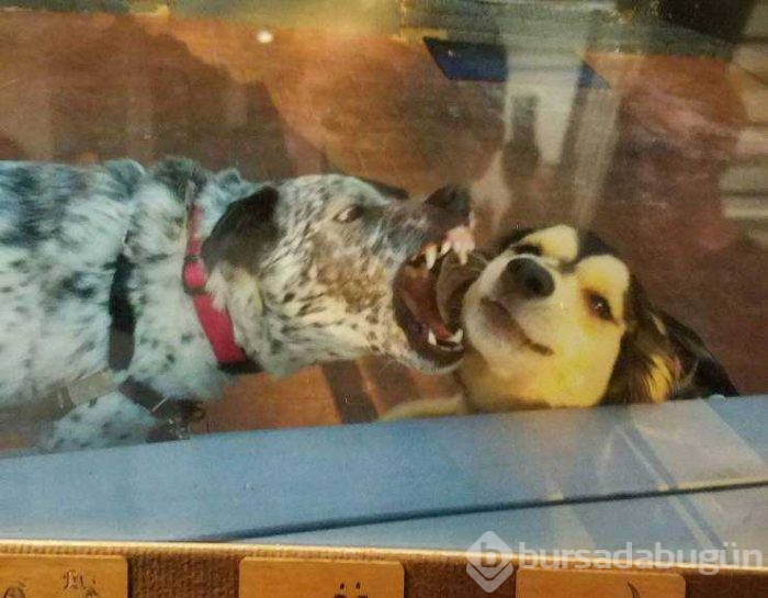 Günün en çok paylaşılan fotoğrafları (29.08.2019)