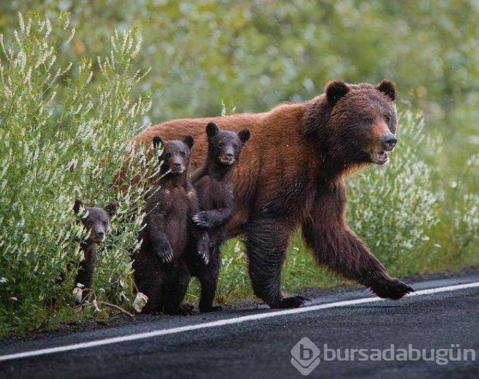 Günün en çok paylaşılan fotoğrafları (29.08.2019)