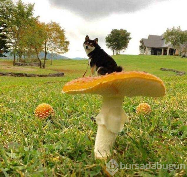 Günün en çok paylaşılan fotoğrafları (29.08.2019)