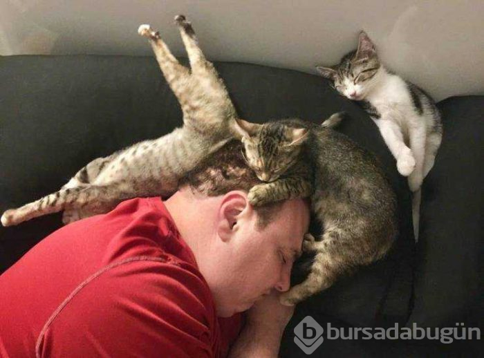 Günün en çok paylaşılan fotoğrafları (29.08.2019)