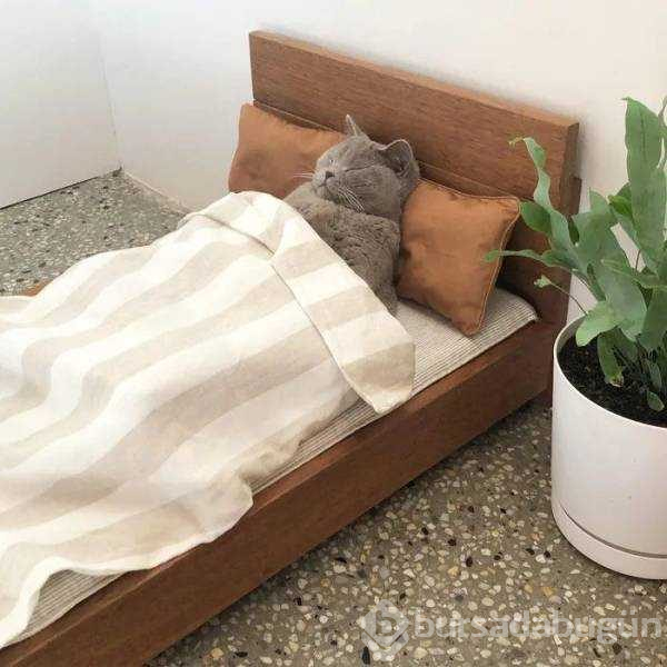 Günün en çok paylaşılan fotoğrafları (29.08.2019)