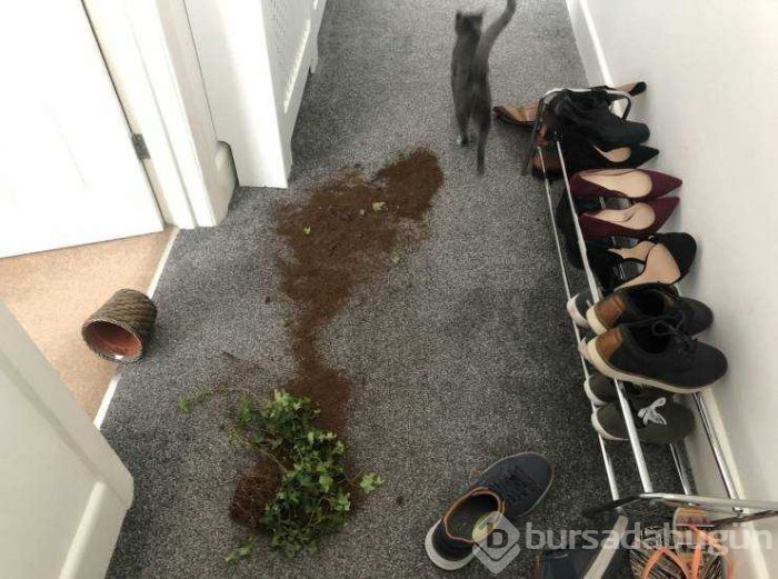 Günün en çok paylaşılan fotoğrafları (29.08.2019)