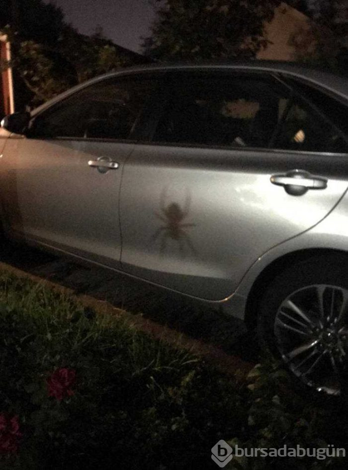 Günün en çok paylaşılan fotoğrafları (29.08.2019)