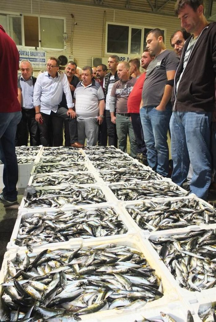 Av yasağı bitti balıkçılar denize açıldı
