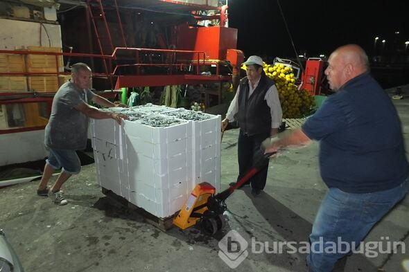 Av yasağı bitti balıkçılar denize açıldı