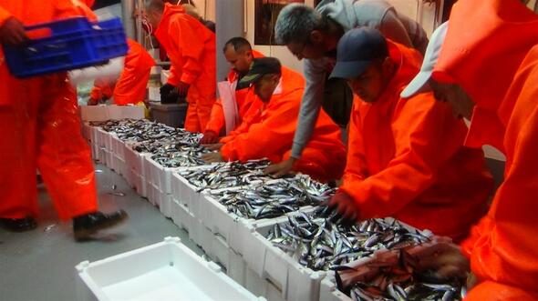 Av yasağı bitti balıkçılar denize açıldı