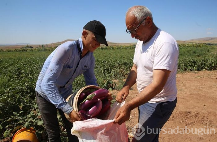 Bu köyden alıp çevredeki şehirlere ve yurt dışına götürüyorlar! 600 yıllık bir lezzet