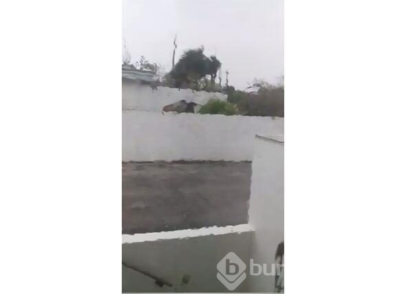 OHAL ilan edildi! Tarım bakanı ölümden döndü