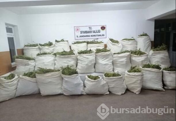 Diyarbakır'da büyük operasyon! 6 milyonluk kök Hint keneviri ele geçirildi