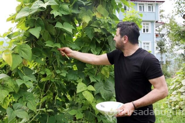 Köyünde huzur buluyor
