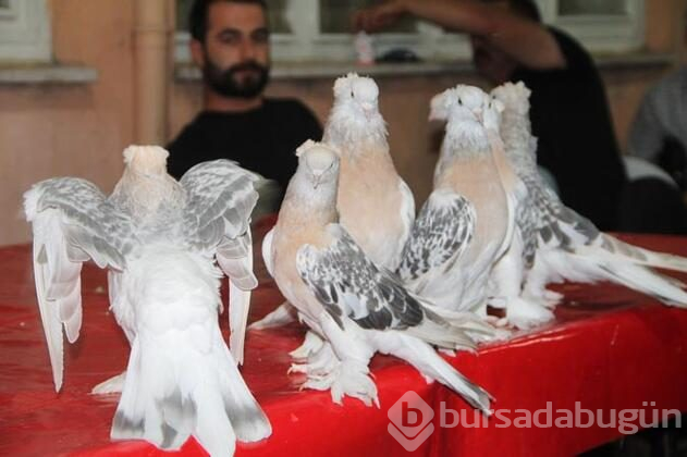 Duyan inanamıyor! Araba fiyatına...