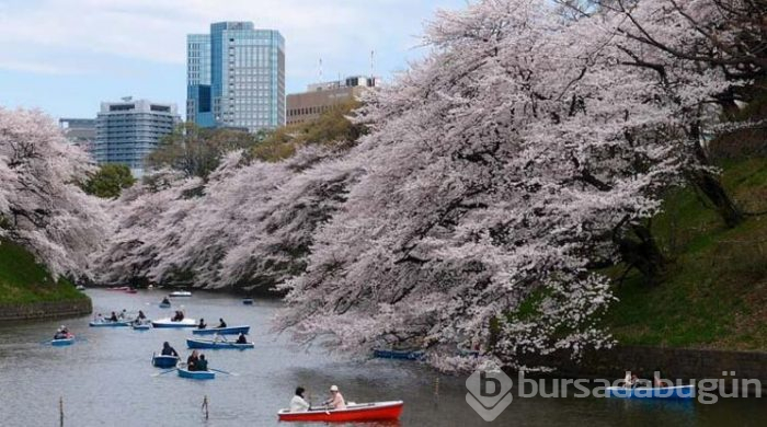 Japonya'da en çok Türkiye aranıyor