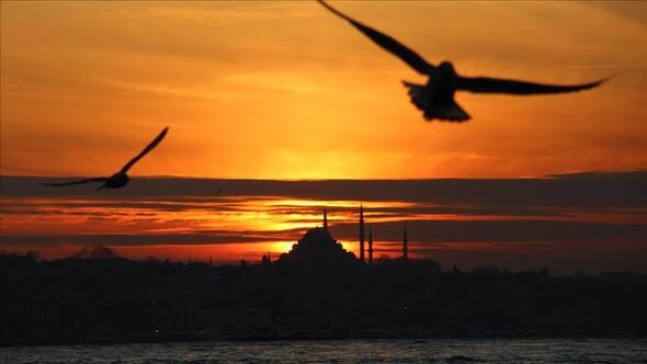 5 yılın en iyi rakamı... 7 ayda rekor kırıldı! En çok o ülkeden geldiler