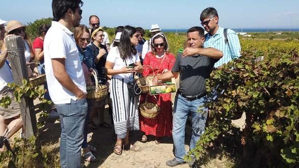 Bozcaada'da üzüm turizmi 