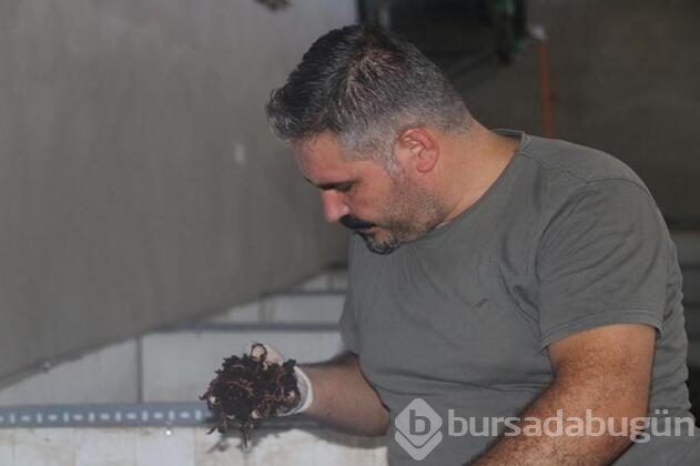 Dalga geçilen işe talebe yetişemiyor
