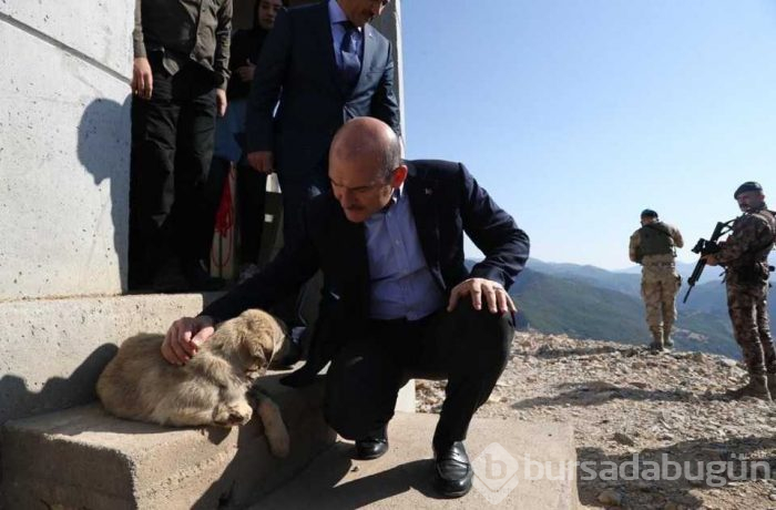 Bakan Soylu'dan 'girilmez' denilen bölgede mesaj: Tamamı temizlenecek!