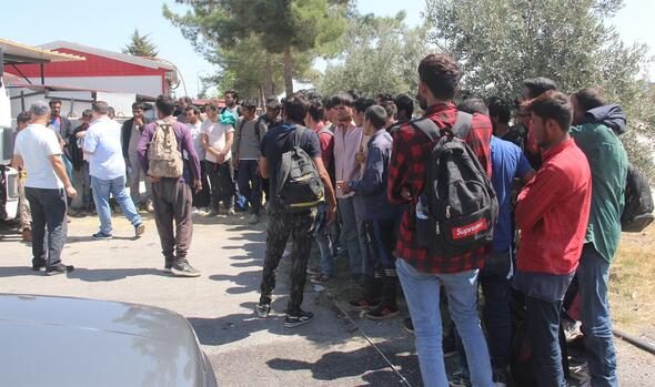 Sürücü "kasada koyun var" dedi... Polis brandayı açınca şaşkına döndü!