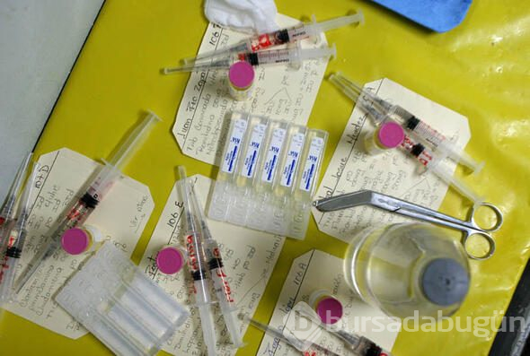 HIV virüsüne çare bulunmuş olabilir