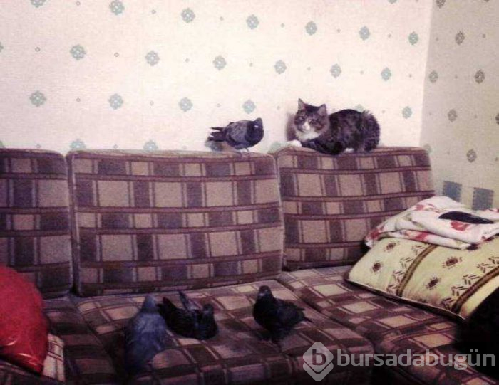 Günün en çok paylaşılan fotoğrafları