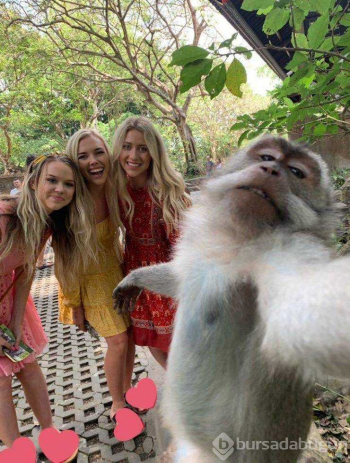 Günün en çok paylaşılan fotoğrafları