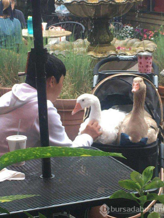 Günün en çok paylaşılan fotoğrafları