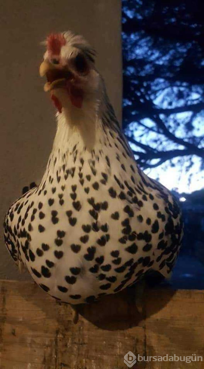 Günün en çok paylaşılan fotoğrafları