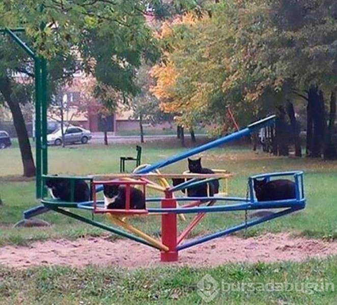 Günün en çok paylaşılan fotoğrafları
