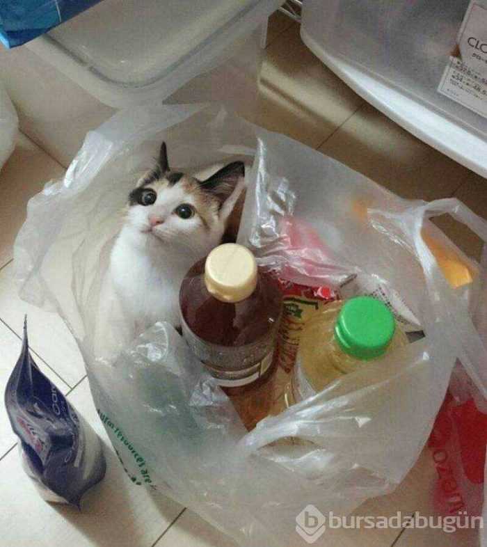 Günün en çok paylaşılan fotoğrafları