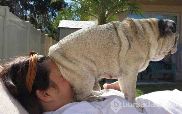 Günün en çok paylaşılan fotoğrafları
