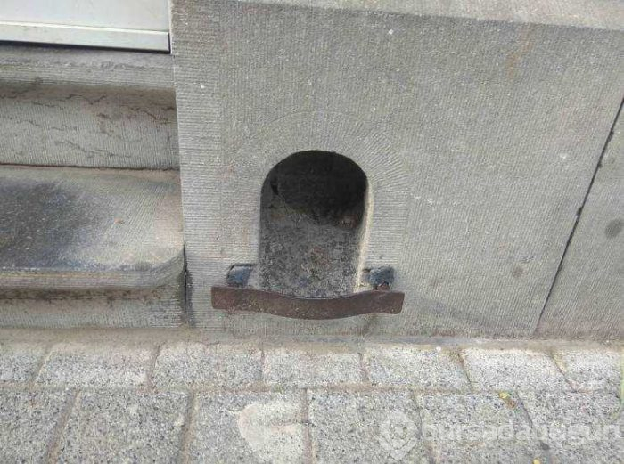 Günün en çok paylaşılan fotoğrafları