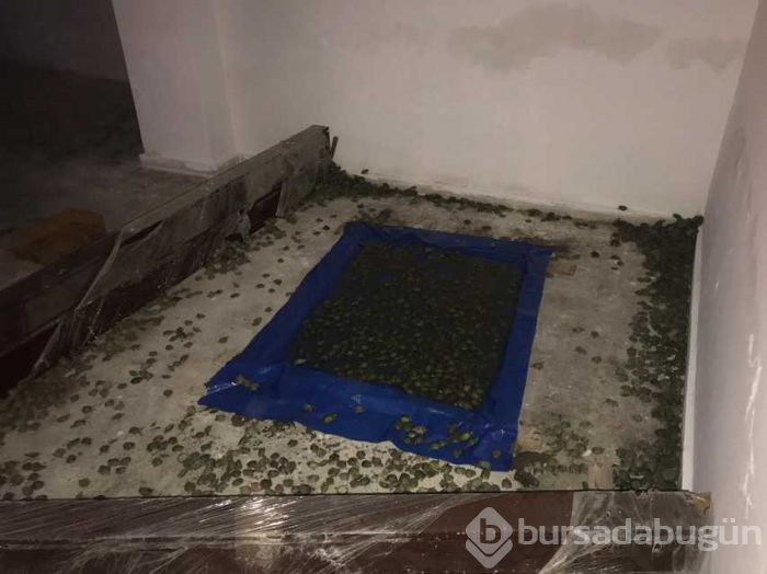 Sınır kapısında ele geçirildi! 2 bin 500 adet