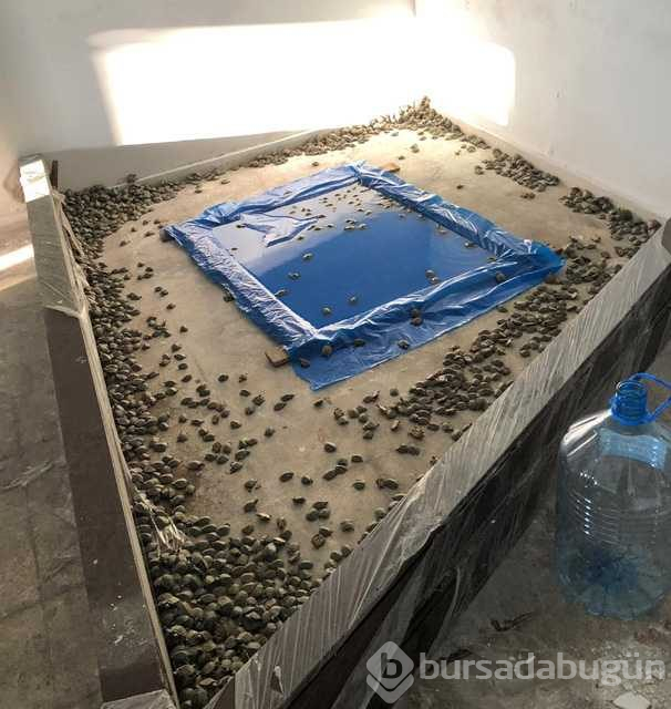 Sınır kapısında ele geçirildi! 2 bin 500 adet