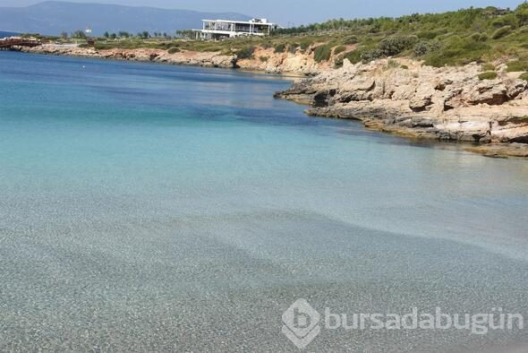 Plaj kapatıldı,habersiz olanlar kapıdan döndü