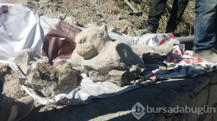 Karabük'te bulundu: Polis başında 3 gün nöbet tuttu