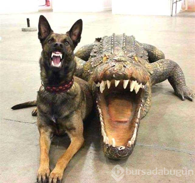 Günün en çok paylaşılan fotoğrafları!