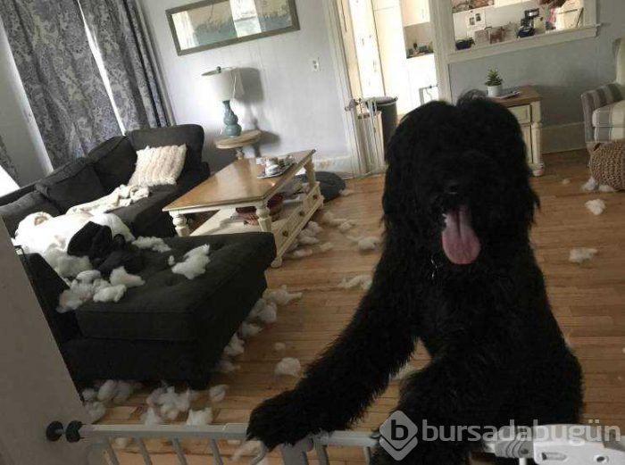 Günün en çok paylaşılan fotoğrafları!